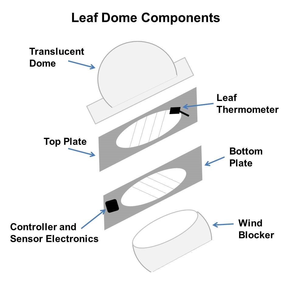 Leaf Dome Assembly